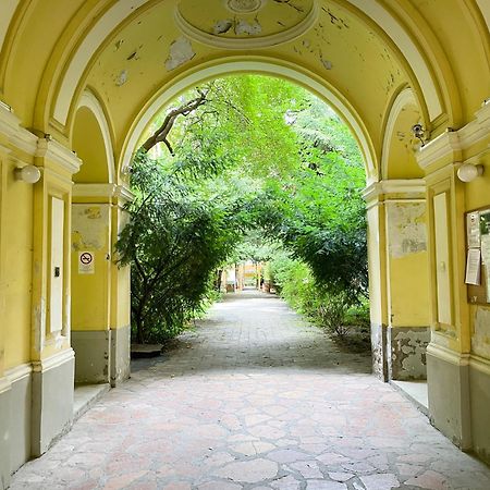 Coente Apartments Kiraly 28 Budapest Luaran gambar